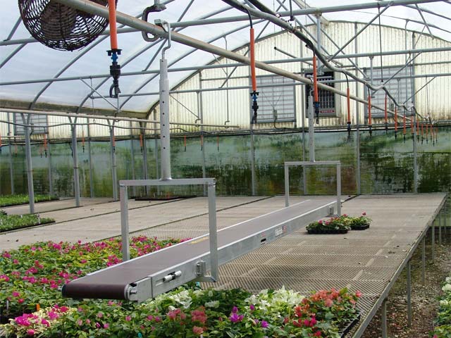 Custom system for moving flats in a nursery greenhouse. The Porta-Veyor can be relocated within the greenhouse as needed.